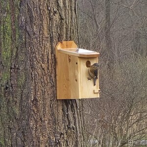 May include: A wooden birdhouse is mounted on a tree trunk. The birdhouse has a small perch and a round entrance hole. A small bird is perched on the birdhouse. The tree trunk has rough, textured bark.