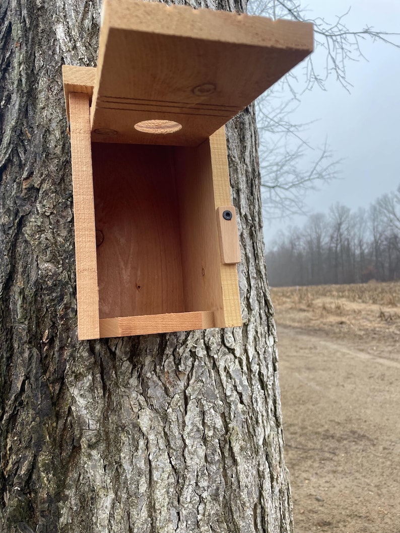 Cedar Birdhouse Nesting Box - Etsy