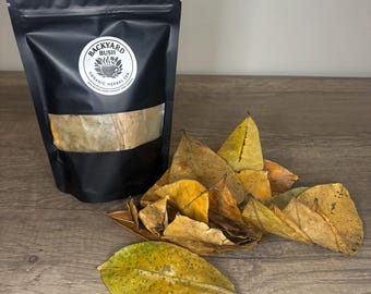 Backyard Bush Jamaican Soursop Leaf Tea | 25g