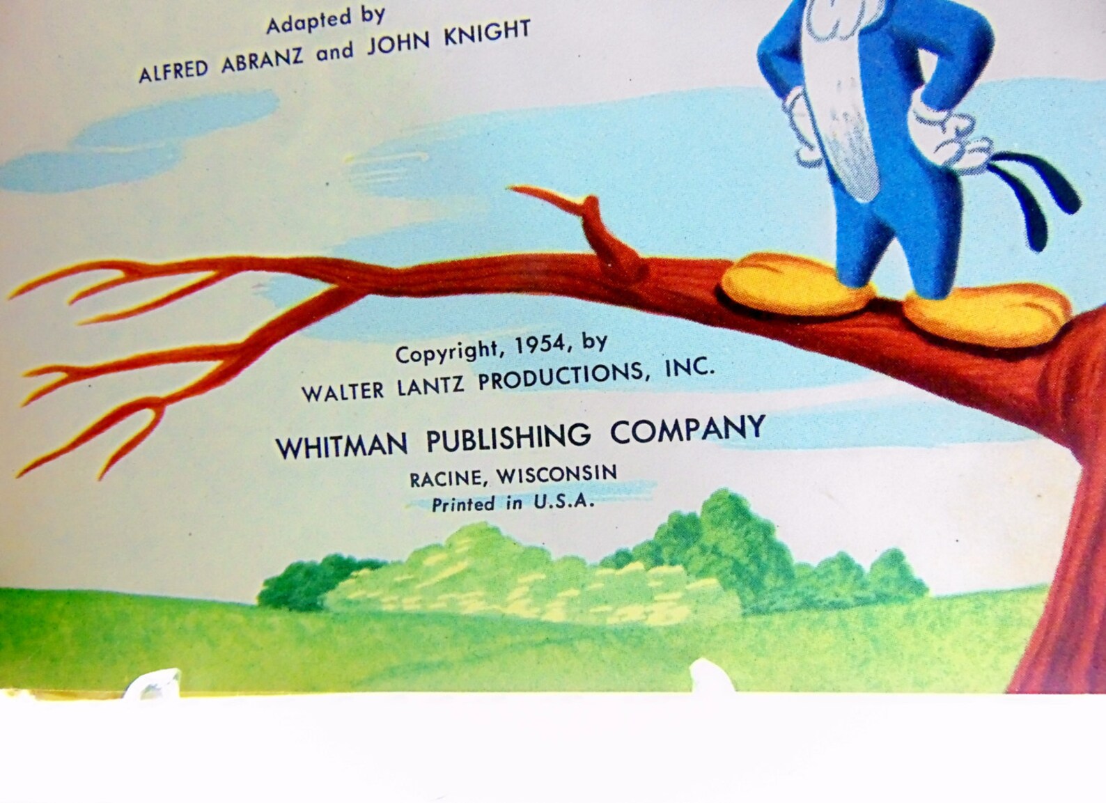 1950s, Vintage, Woody Woodpecker,book, Books, 1954, Whitman, Walter