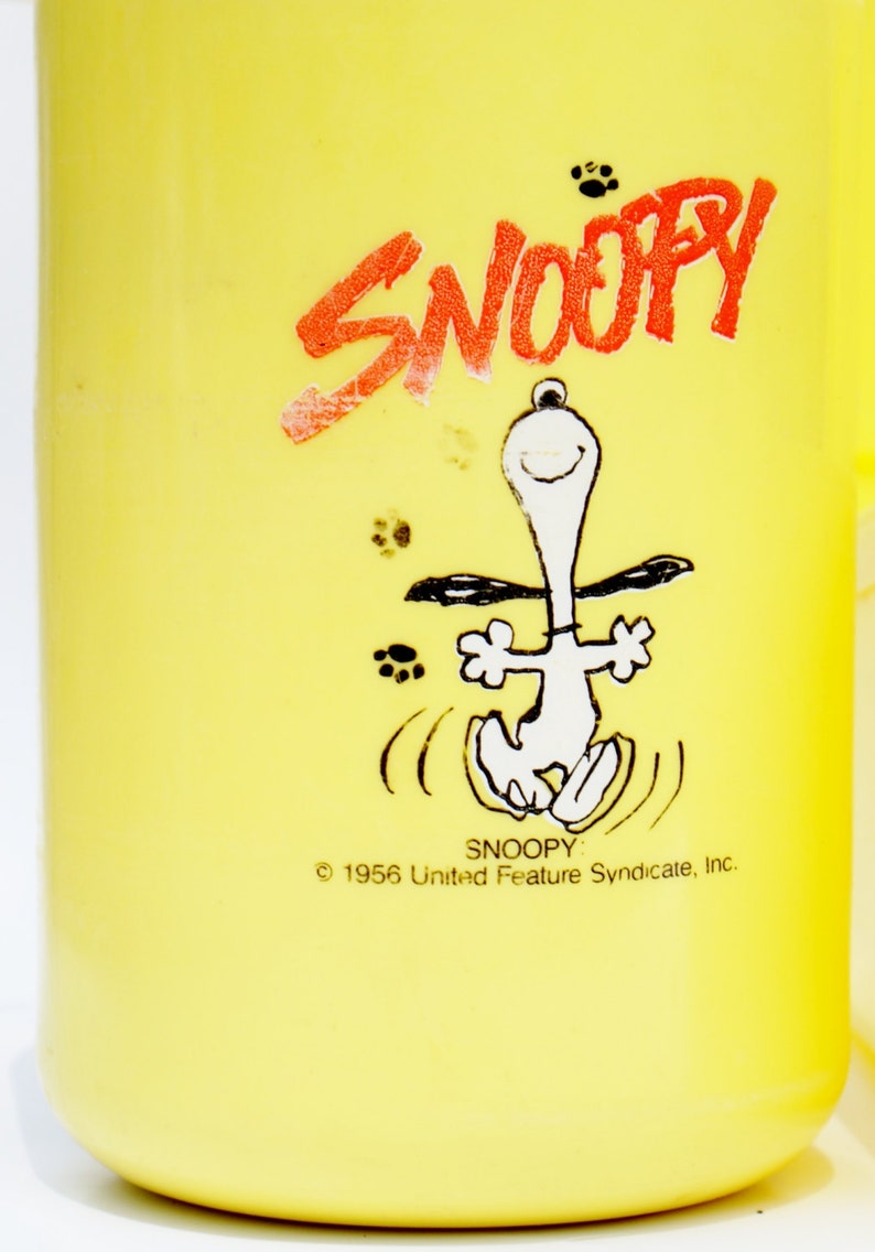 Vintage Lunchbox ~ Peanuts Gang ~ Snoopy ~ Plastic