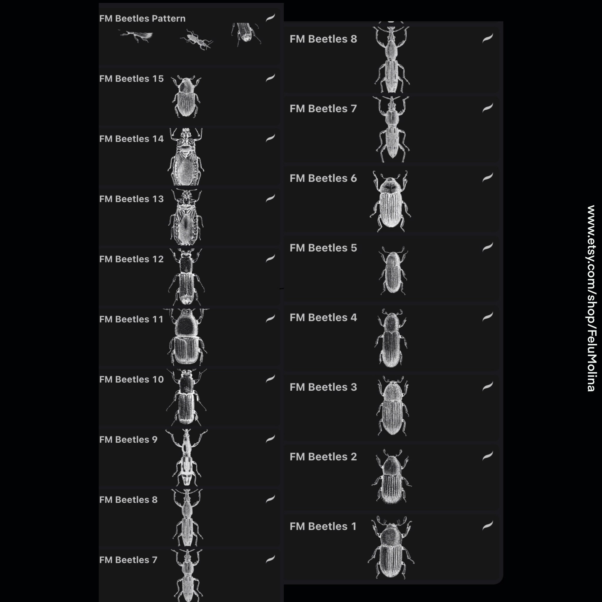 Beetles & Bugs Procreate Brushes Vintage Illustrations 15 - Etsy