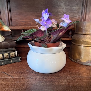 May include: A white ceramic self-watering planter with a ruffled rim containing a blooming African violet plant with purple flowers and dark green leaves, positioned between a stack of vintage books with a bird figurine and a brass pitcher.
