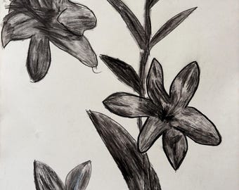 Lilies