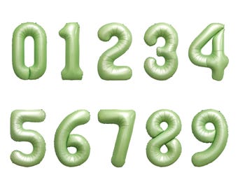 Big Mylar Number Balloon, Green Number Balloon For Dinosaur Birthday, Green Jungle Birthday Decorations, Boho Wildflower Birthday Decor