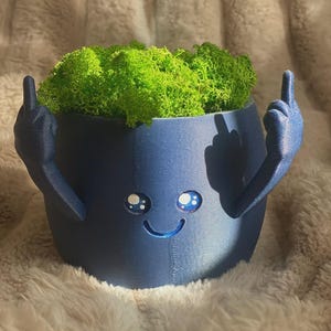 Funny Middle Finger Plant Pot – Rude Planter – 3D Printed Flower Pot – Unique Gift