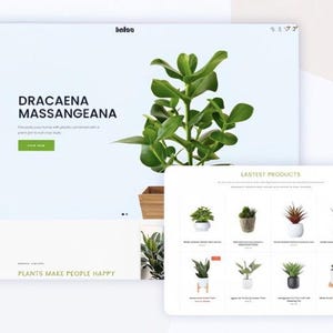 K&ouml;nnte beinhalten: Webdesign mit einer Dracaena Massangeana Pflanze mit gr&uuml;nen Bl&auml;ttern. Die Website zeigt eine Auswahl an Topfpflanzen mit dem Text "PLANTS MAKE PEOPLE HAPPY".