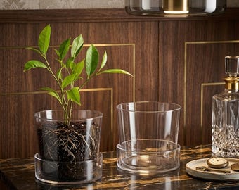 Maceta de vidrio transparente con orificio de drenaje y platillo, maceta moderna de vidrio para interiores, maceta para orquídeas, maceta transparente, estilo minimalista para el hogar.