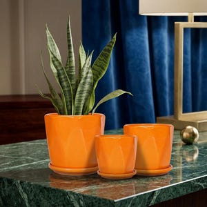 May include: A set of three glossy orange ceramic plant pots with matching saucers, featuring a faceted geometric design. The largest pot contains a tall green snake plant with variegated leaves, while the two smaller pots remain empty.