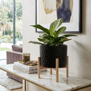 Può includere: Un vaso di ceramica nera strutturata con una pianta verde, posto su un supporto in legno chiaro. Il vaso è su un tavolo con piano in marmo e bordo dorato. Un'opera d'arte astratta incorniciata è sullo sfondo.