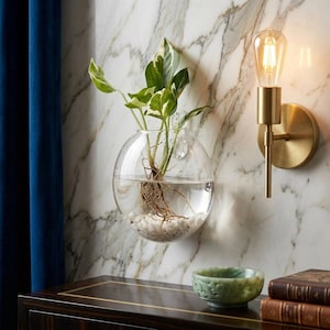May include: A clear, spherical glass wall planter containing water, white pebbles, and a green and white variegated plant with visible roots. The planter is mounted on a wall next to a brass-toned wall sconce with an exposed filament light bulb.