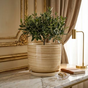 Peut inclure: Un pot de fleurs en céramique beige avec des rayures horizontales contient un petit olivier. Le pot repose sur une soucoupe assortie. Une lampe de bureau dorée et un carnet en cuir sont visibles en arrière-plan.