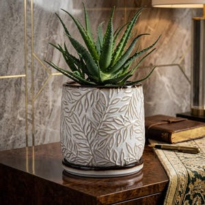 Puede incluir: Una maceta de cerámica blanca con un diseño de hojas, que contiene una planta de aloe vera verde. La maceta tiene un borde marrón y se asienta sobre un platillo a juego. La maceta está sobre una superficie de madera oscura.