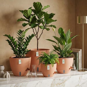 May include: A collection of potted plants in terracotta-colored planters. The plants include a fiddle-leaf fig, a peace lily, and other leafy green plants. The planters have a modern design with a water reservoir and drainage spout. The pots are labeled with their sizes in inches.