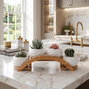May include: A decorative bamboo plant stand holding four white ceramic pots with various succulents and cacti. The pots have a textured, wavy design. The plants include a zebra plant, a pink succulent, and a small cactus.