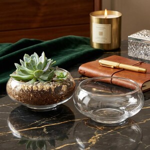 May include: Two clear glass bowls with rounded shapes. One bowl contains a green succulent plant rooted in dark soil topped with small light-colored pebbles. The other bowl is empty and sits beside it, both featuring smooth, curved glass edges.