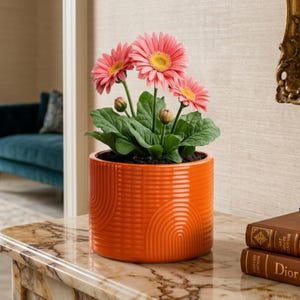 Puede incluir: Una maceta de cerámica naranja con un diseño de arcos repetidos, que contiene una planta de gerbera con flores rosas y hojas verdes. La maceta está sobre una superficie de mármol, con libros visibles en el fondo.