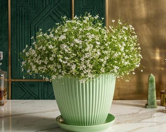 Round Plastic Flower Pot with Tray, Modern Ribbed Planter, Indoor Outdoor Plant Pot, Succulent Planter, Decorative Garden Pot, 5 Sizes