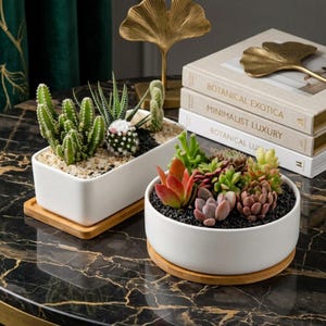 Juego de macetas de cerámica blanca para suculentas, macetas rectangulares y redondas minimalistas con bandeja de bambú, macetas para plantas de interior con drenaje.