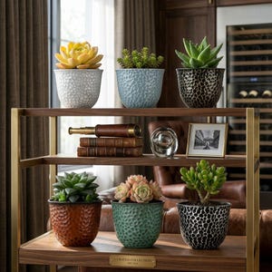 Juego de 6 macetas de plástico de 20 cm, macetas retro para plantas de interior con orificio de drenaje, macetas de resina ligeras, macetas de jardín multicolor