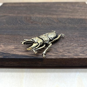 May include: A detailed brass beetle figurine with textured wings and prominent mandibles. The insect is positioned on a dark wooden surface, showcasing its intricate design and metallic finish. The beetle's legs and antennae are clearly defined.