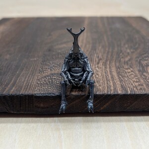 Overworked Beetle Desk Figurine, Funny Office Companion Gift With Custom Card for Coworker, Brass Insect Sculpture for Programmer, Designer