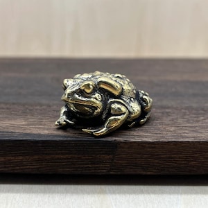 May include: A small, detailed brass frog figurine with a textured surface. The frog is positioned on a dark wooden surface, showcasing its golden color and intricate design. The figurine is a decorative item.