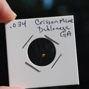 Natural Gold Nugget .034g – Dahlonega Georgia