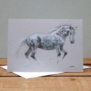 Carte de voeux cheval gris - Cadeau d'art équestre - Carte d'anniversaire vierge à l'intérieur - Carte de correspondance pour un ami - Dessin au fusain et à la craie d'art équin