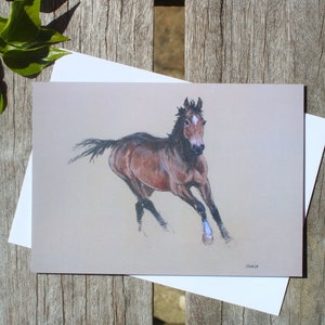 Carte d'anniversaire vierge art équin - Carte de remerciement art cheval - Cadeau/carte d'amoureux des chevaux pour un ami - Carte de voeux de cavalier - Carte postale cheval