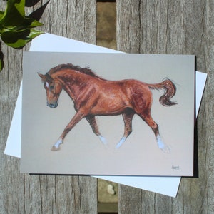 Carte d'anniversaire vierge d'art équin - Décoration équestre de cheval alezan - Cadeau/carte d'amoureux des chevaux pour un ami - Carte de remerciement croquis cavalier