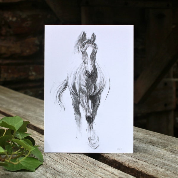 Horse art birthday card - Blank any occasion card - Equine decor gift for horse lover - Thank you card designed by artist