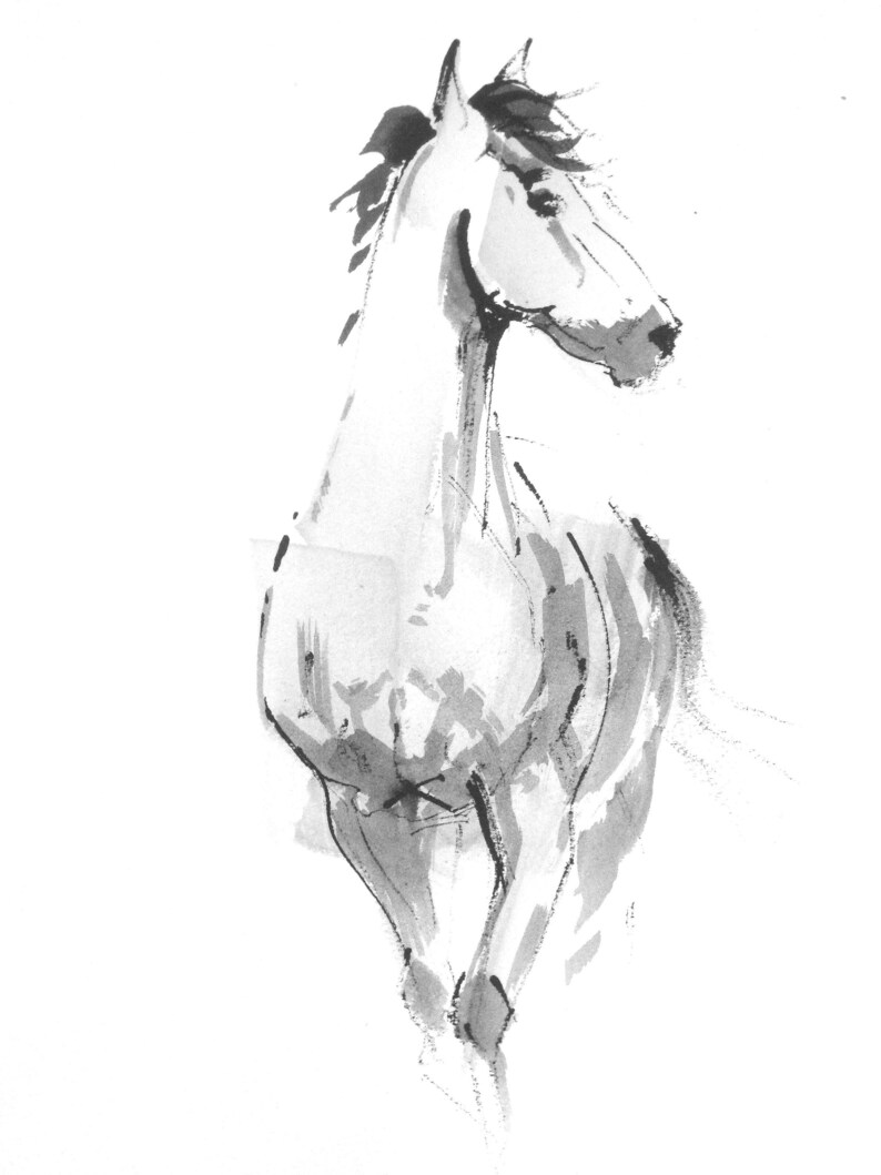 Minimalist horse art birthday card ink sketch Equine art Etsy