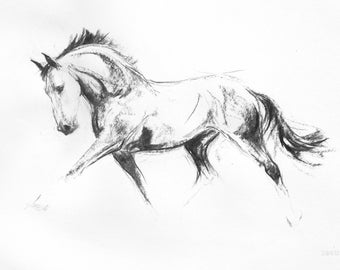 Minimalist horse art print - Charcoal sketch modern home decor - Black and white contemporary equine wall art - Available in different sizes