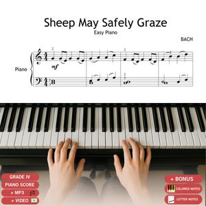 Partition pour piano de « Sheep May Safely Graze » de Bach - Air - Notes codées par couleur