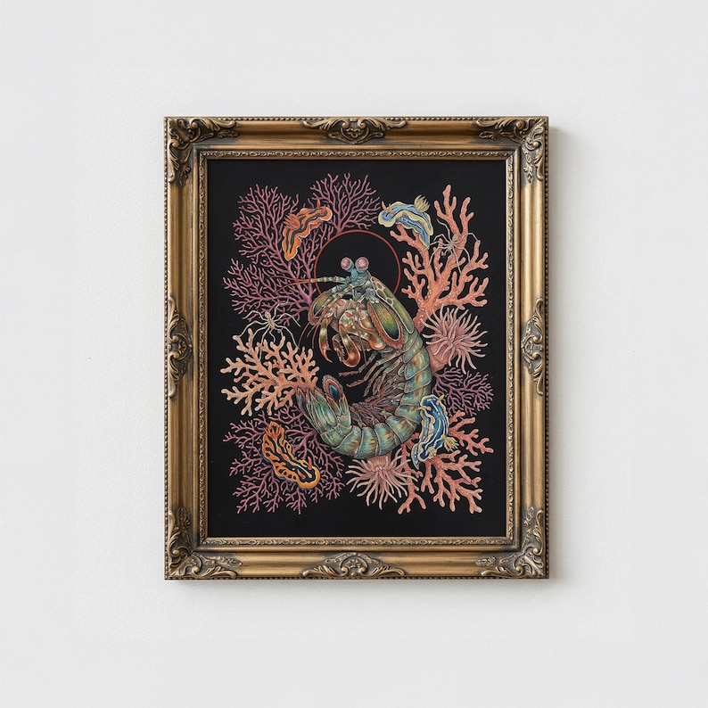 May include: An art print in a gold ornate frame, depicting a mantis shrimp surrounded by coral and other marine life against a black background. The mantis shrimp is illustrated in shades of green, blue, and orange. The coral is in shades of pink and orange.