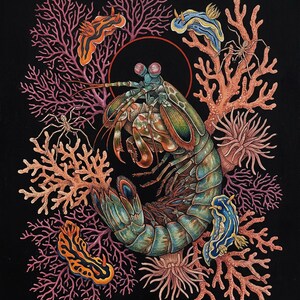 May include: A detailed illustration of a mantis shrimp surrounded by coral and other sea creatures against a black background. The shrimp is green, brown, and blue, with large eyes. Coral is pink and orange, and other sea creatures are blue and orange.