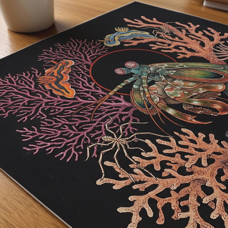 May include: A square art print with a detailed illustration of marine life on a black background. The artwork features a mantis shrimp, coral, sea slugs, and a spider, all in vibrant colours.