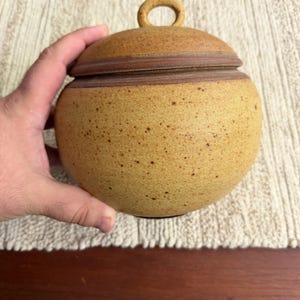 May include: A round, speckled tan ceramic jar with a matching lid featuring a small circular handle. The jar has a smooth, matte finish with dark brown flecks throughout and a dark brown band encircling the rim where the lid meets the base.