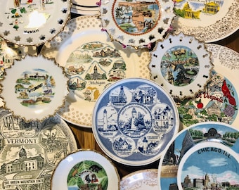 Vintage USA State Souvenir Collectible Plates (Total of 19) Find Your State Plate!