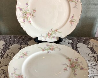4 assiettes à dessert Creil et Montereau Labrador modèle Mignon