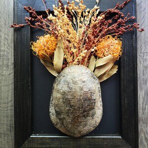 Large Minimalist Floral Turtle Shell - Wall Hanging Frame Decor