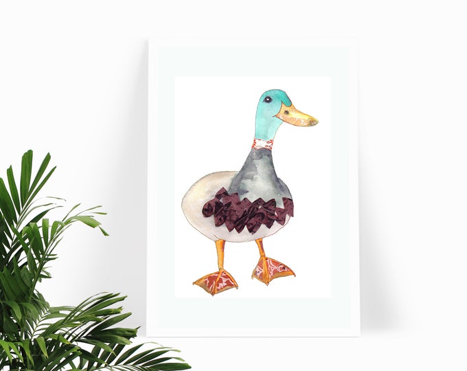 Mallard Duck