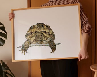 Tortoise Poster | Tortoise Artwork | Tortoise Picture | Tortoise Gifts | Tortoise Art | Tortoise Print | Animal Wall Art | Tortoise Gift