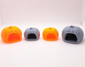 Jumping Spider Magnetic Hides ~ Pumpkin