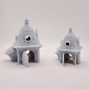 Jumping Spider Cottage