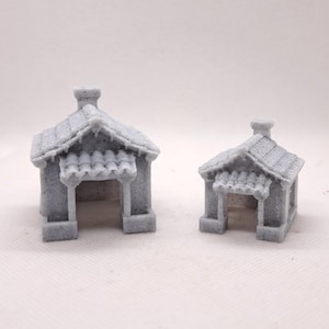 Jumping Spider Desert House