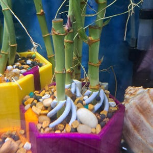 3ct. Bamboo Holder