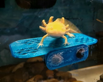 Aquatic Magnetic Shelf ~ Axolotl Tested Only