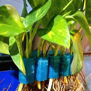 RIMMED Tank ~ 5 Stem Plant Hexi-Holder - for 5-40 Gallon Aquariums